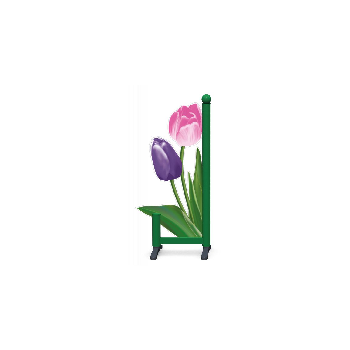 .tulip